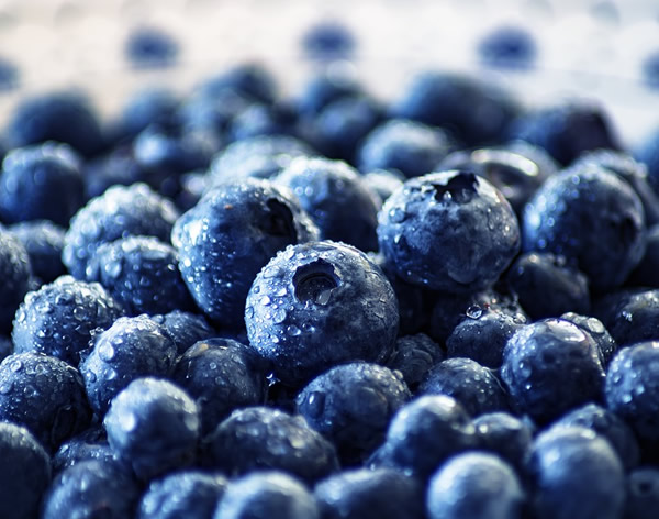 冷凍藍莓，一個被嚴重低估的產品